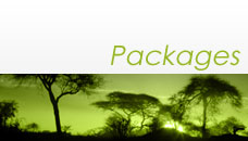 packages