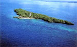 mafia island