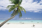 zanzibar